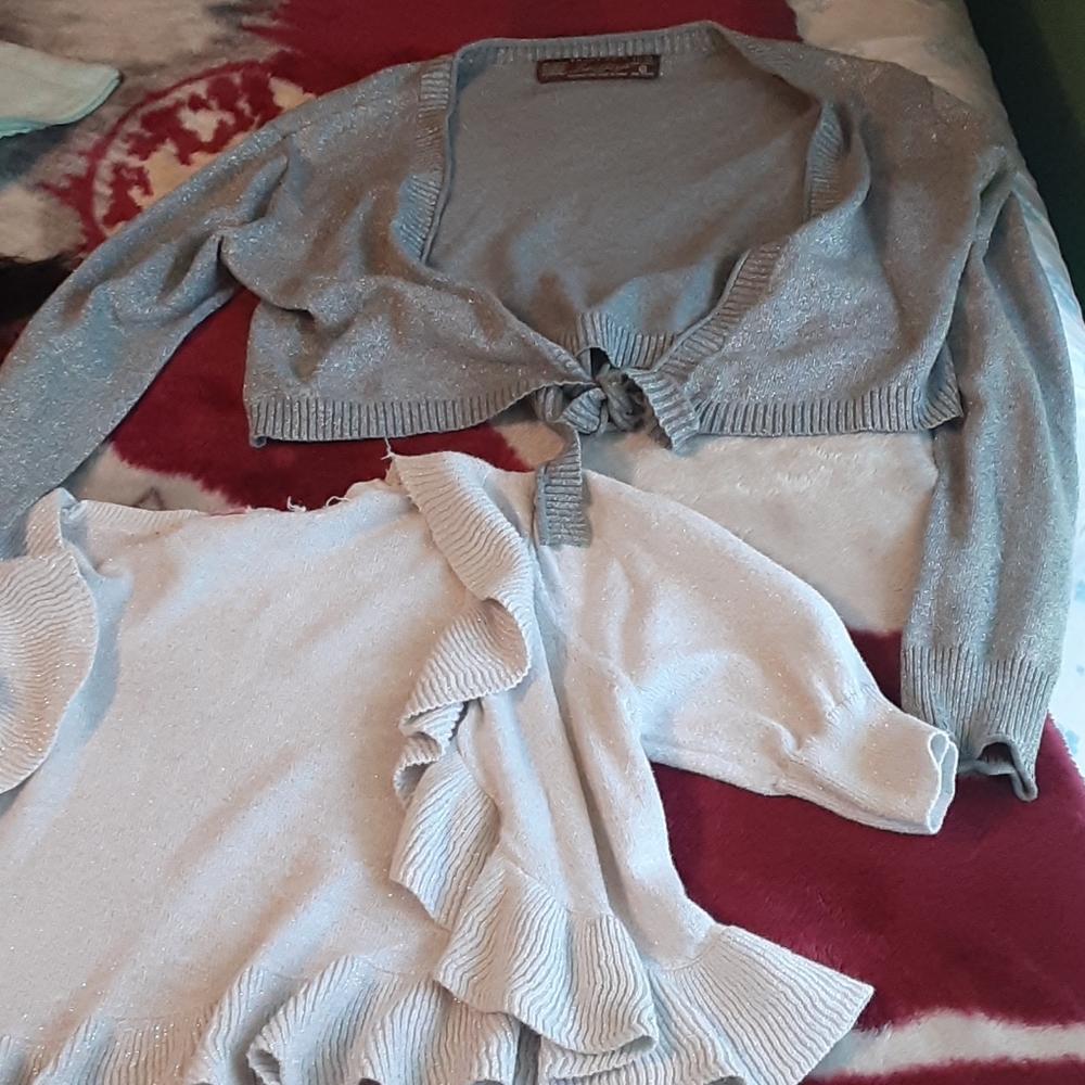 Two sparkly silver vest